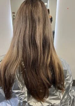 ‘Before’ image of dull, mushroom brown hair