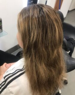 ‘Before’ image of frizzy, brunette hair with blonde highlights