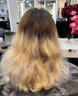 Dry blonde hair before a colour transformation by Rush.